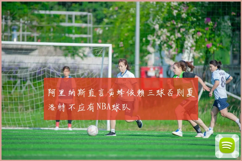 阿里纳斯直言黄蜂依赖三球否则夏洛特不应有NBA球队