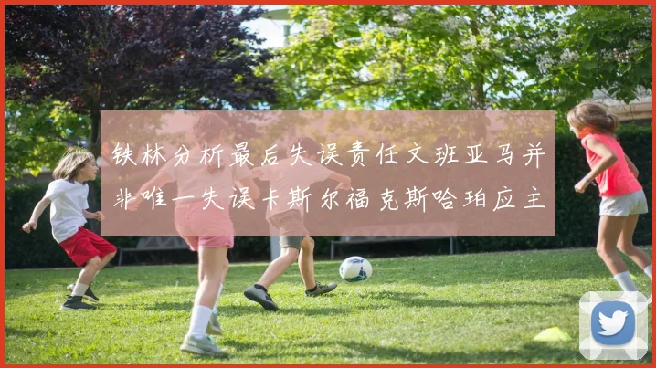 铁林分析最后失误责任文班亚马并非唯一失误卡斯尔福克斯哈珀应主动接球